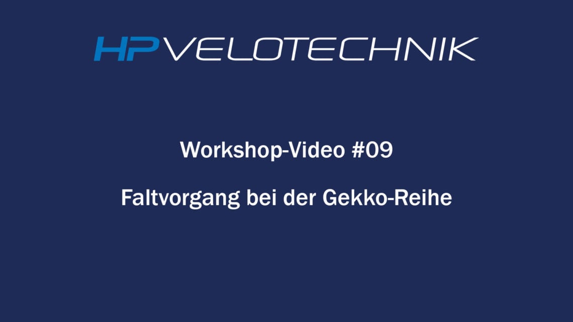 Workshop-Video 09: Faltvorgang Gekko-Reihe