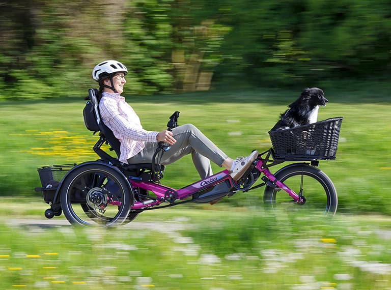 delta tx elektro-dreirad electric trike dog basket hundekorb mobil
