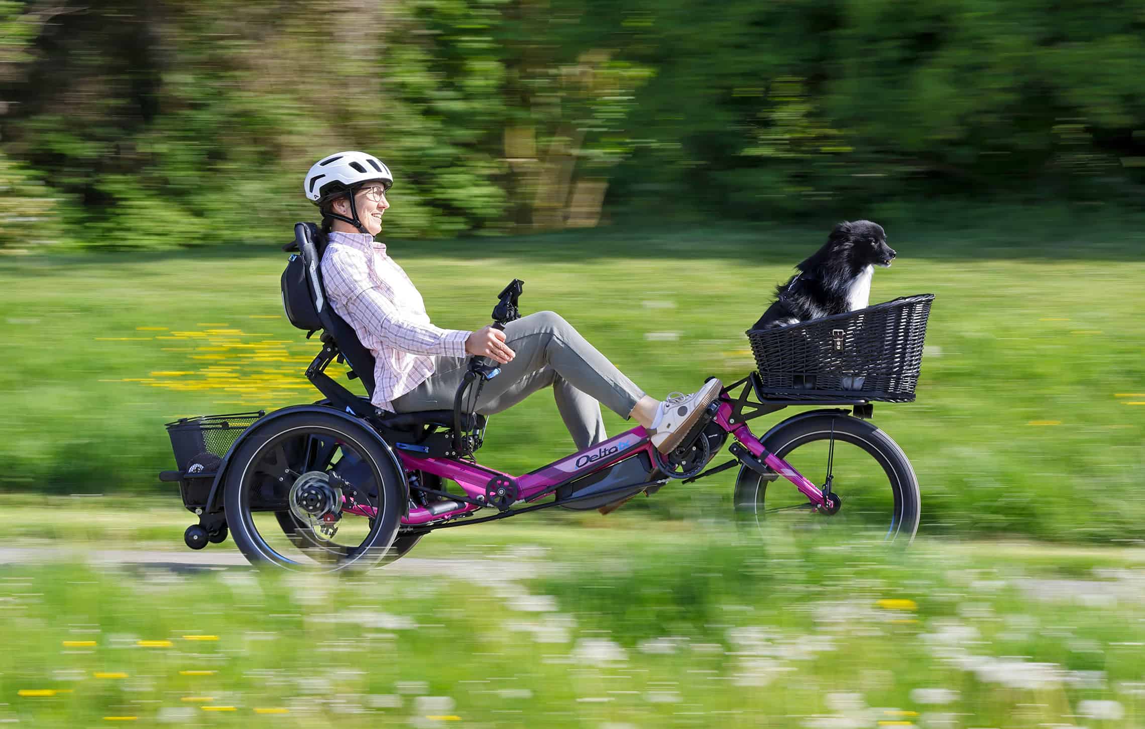 delta tx elektro-dreirad electric trike dog basket hundekorb